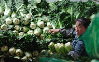 預(yù)算單位采購(gòu) 破解貧困地區(qū)農(nóng)副產(chǎn)品滯銷難題的有力舉措
