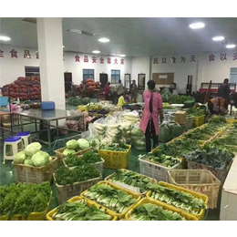 廣東萬家歡農(nóng)副產(chǎn)品在線指南 品類概覽與銷售之道